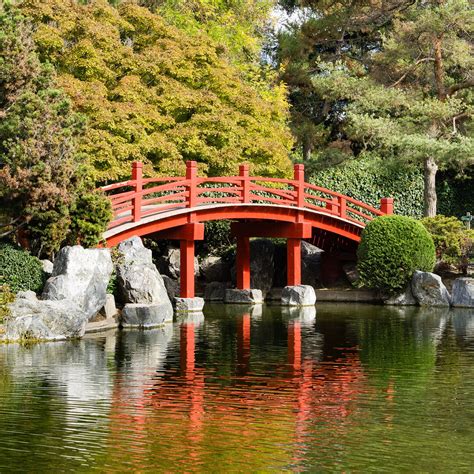 Japanese Friendship Garden