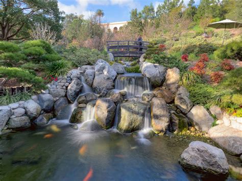 Japanese Friendship Garden