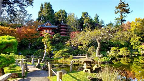 Japanese Tea Garden in San Francisco