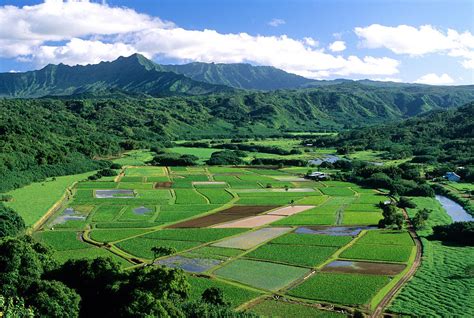 Kauai Agriculture