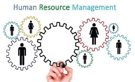 Key Components of Effective Human Resources Management