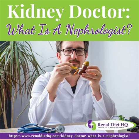 Kidney Specialist