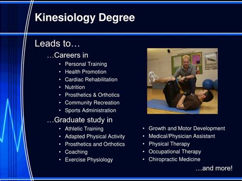 Kinesiology degree careers