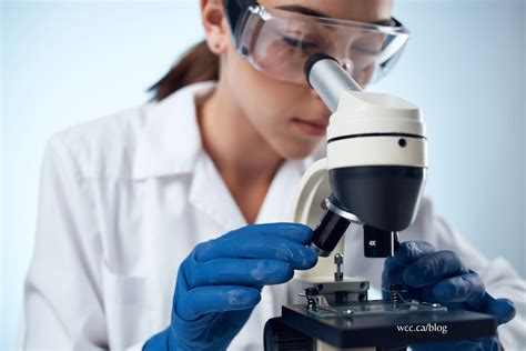 Laboratory Assistant