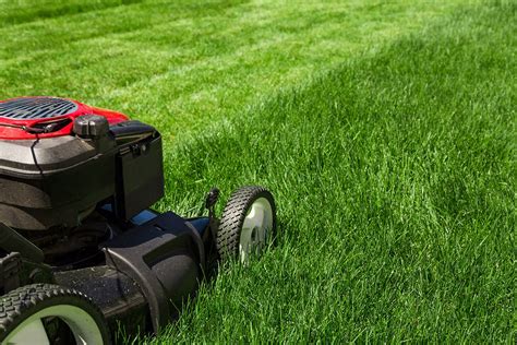 Lawn care or yard work