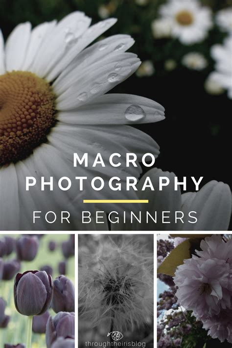 Learn Composition
