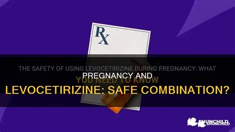 Levocetirizine Pregnancy