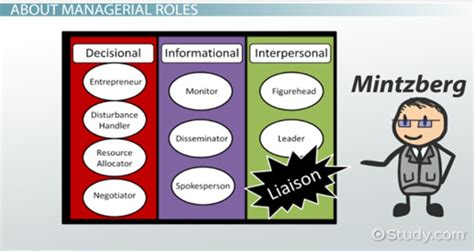 liaison role