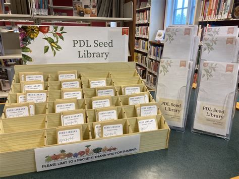 Library Programs