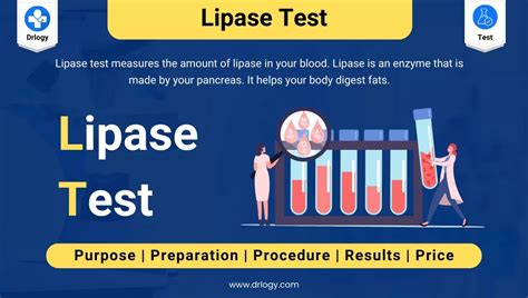 Lipase Blood Test Benefits