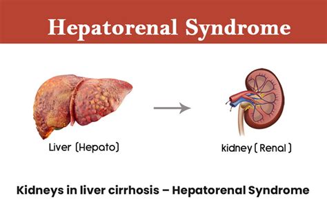 Liver or Kidney Disease