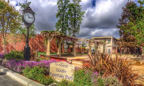 Relaxation at Livermore Park