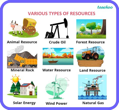 Local Resources