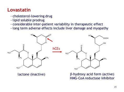 Lovastatin Liver Damage