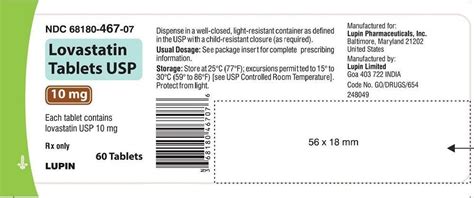 Lovastatin Pregnancy