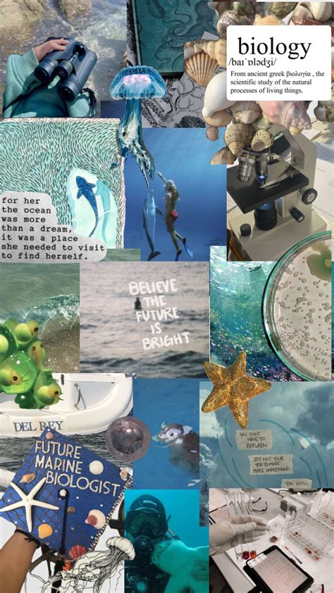 Marine Biologist in Hawaii