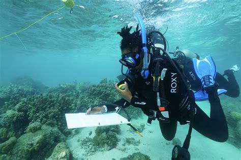 Marine Biologist