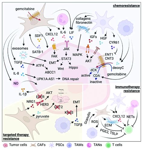 Mcr-2 mechanism