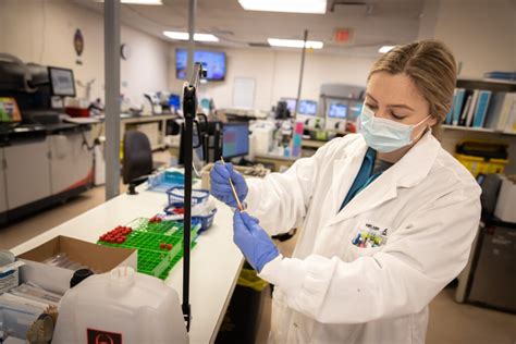 Medical lab technologist experience