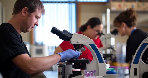 Medical Laboratory Technician Graduate Degree