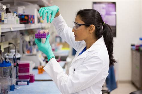 Medical Laboratory Technician Specialized Skills