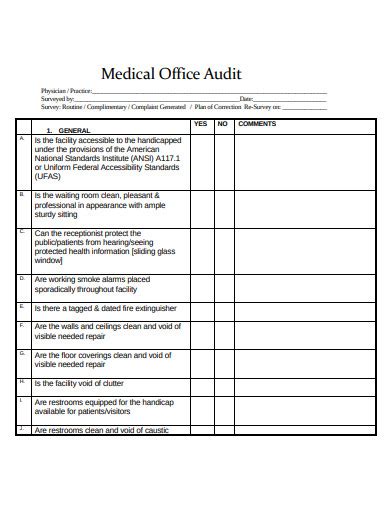 Medical Records Auditor