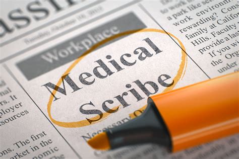 Medical scribe