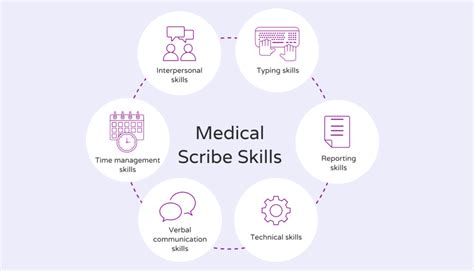 Medical Scribe