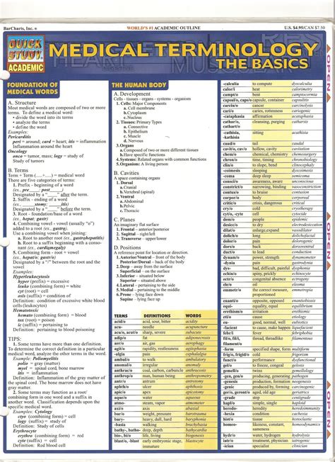 Medical terminology basics