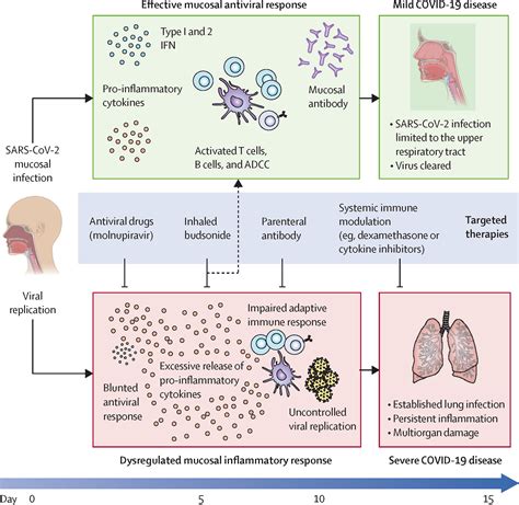 Methylprednisolone Respiratory Conditions