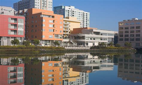 Mission Bay Branch Community