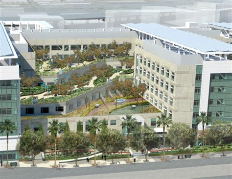 Mission Bay Branch Rooftop Garden