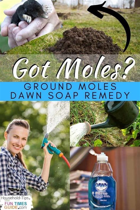Mole removal tips