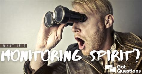 Monitoring Spirit