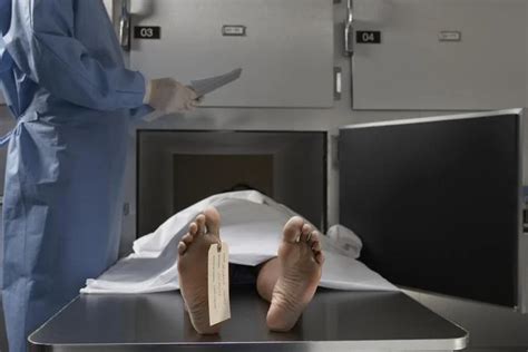 Morgue jobs skills