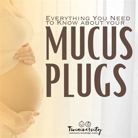 Mucous Plug