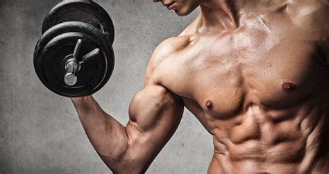 Increased muscle mass and strength