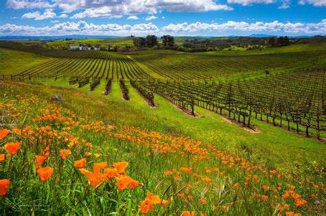 Napa CA Quality of Life