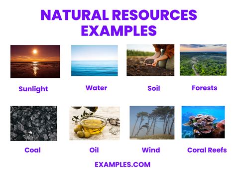 Natural Resource