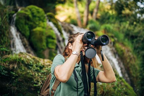 Nature watching and wildlife viewing at Riverside Park