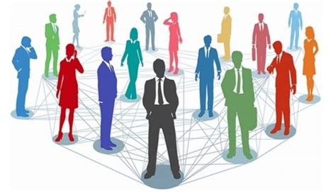 networking and building relationships with colleagues and peers
