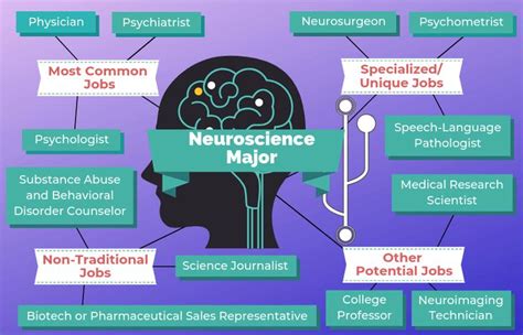 Neuroscience careers