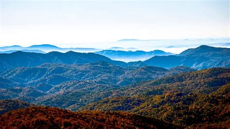 North Carolina relocation