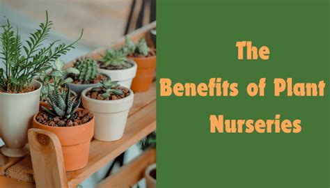 Benefits of Working in a Nursery