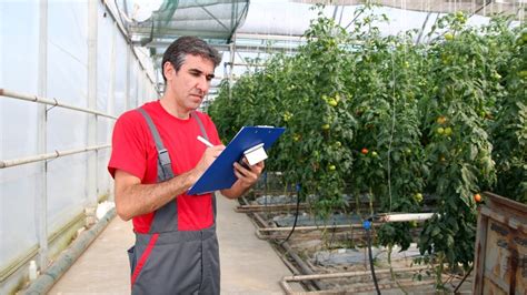 Nursery Manager