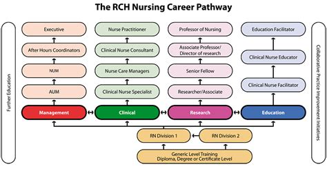 Nursing Career Path