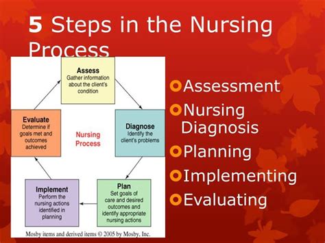 Nursing process assessment