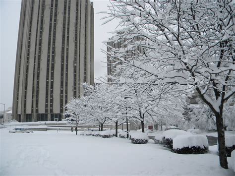 Oakland Winter