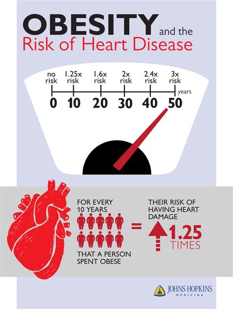 Obesity and Cardiovascular Disease