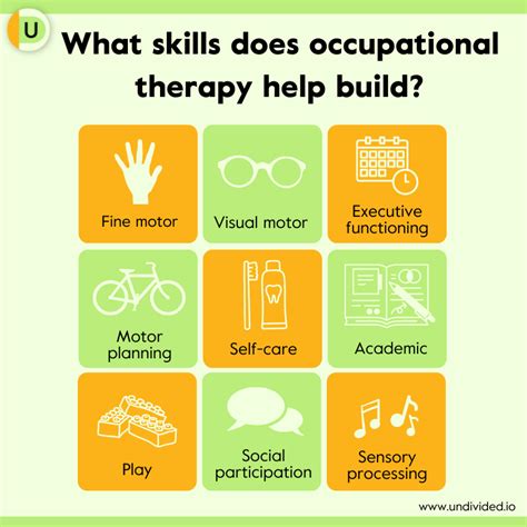 Occupational Therapist